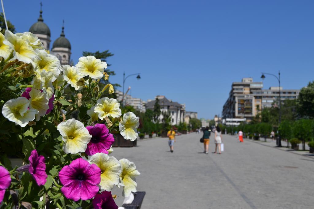 Casa De Oaspeti Sfantul Nicolae Iasi Ngoại thất bức ảnh